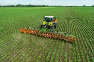 Traktor s kultivátorem AMAZONE Venterra VR 4 v poli